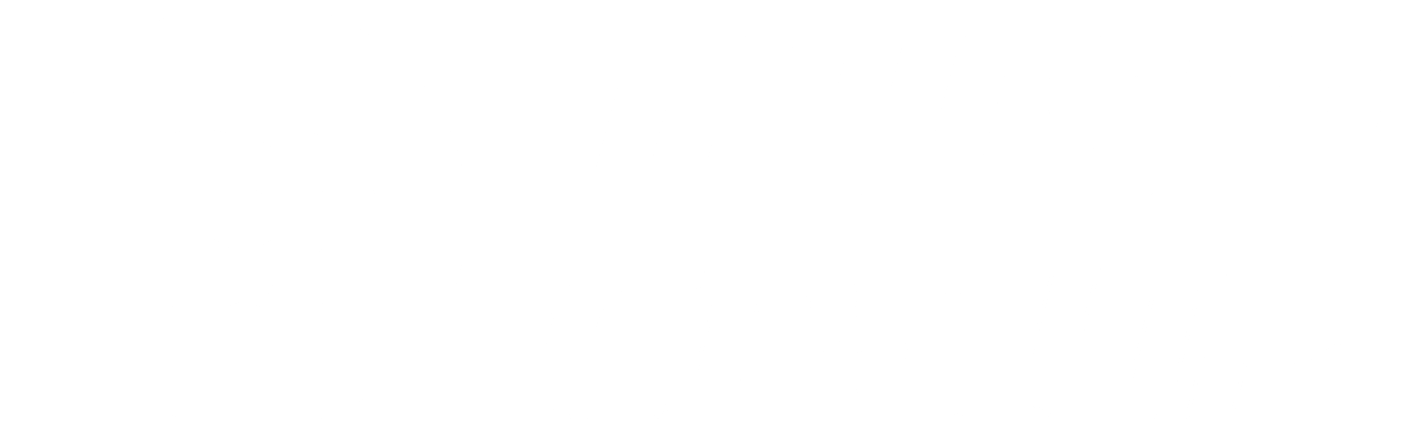 WISE-Group-Logo-White